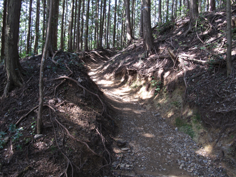 20150929hike (72)